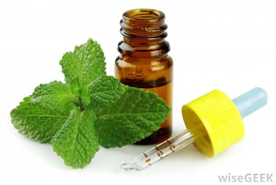 peppermint-and-oil-bottle